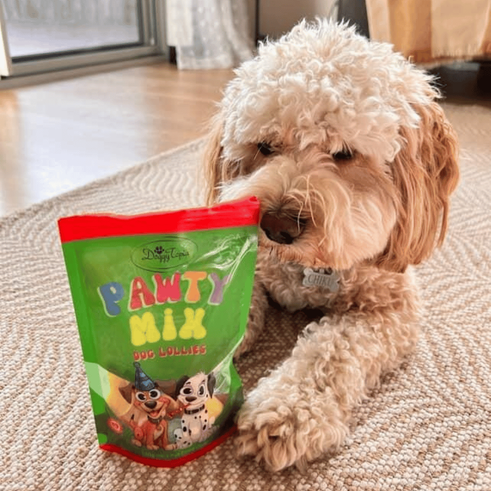 Pawty Mix Dog Lollies - Lollies from DoggyTopia at DoggyTopia