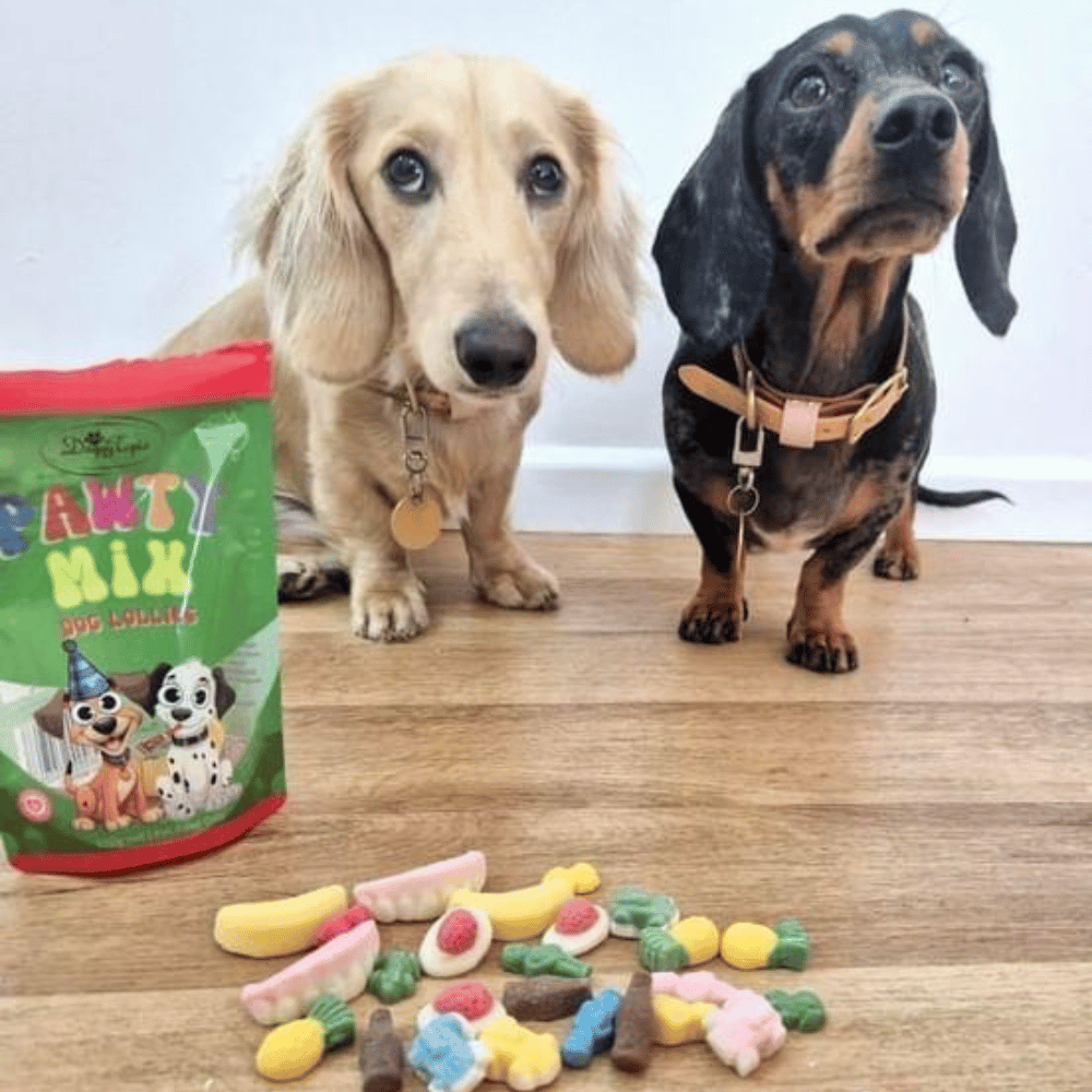 Pawty Mix Dog Lollies - Lollies from DoggyTopia at DoggyTopia