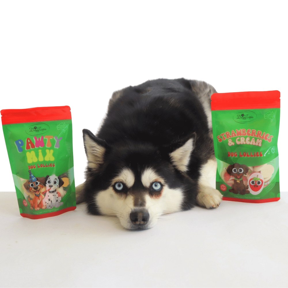 Pawty Mix Dog Lollies - Lollies from DoggyTopia at DoggyTopia