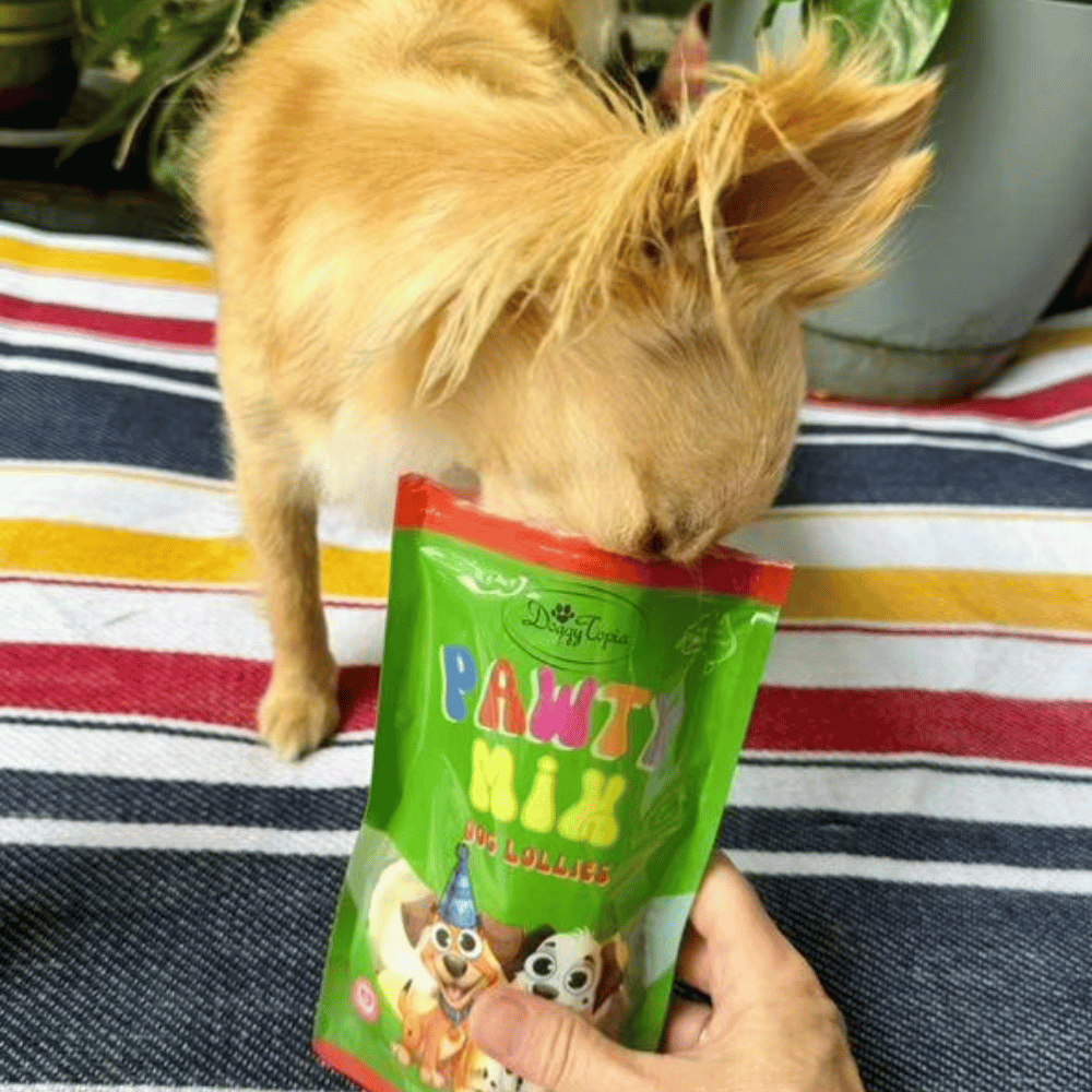 Pawty Mix Dog Lollies - Lollies from DoggyTopia at DoggyTopia