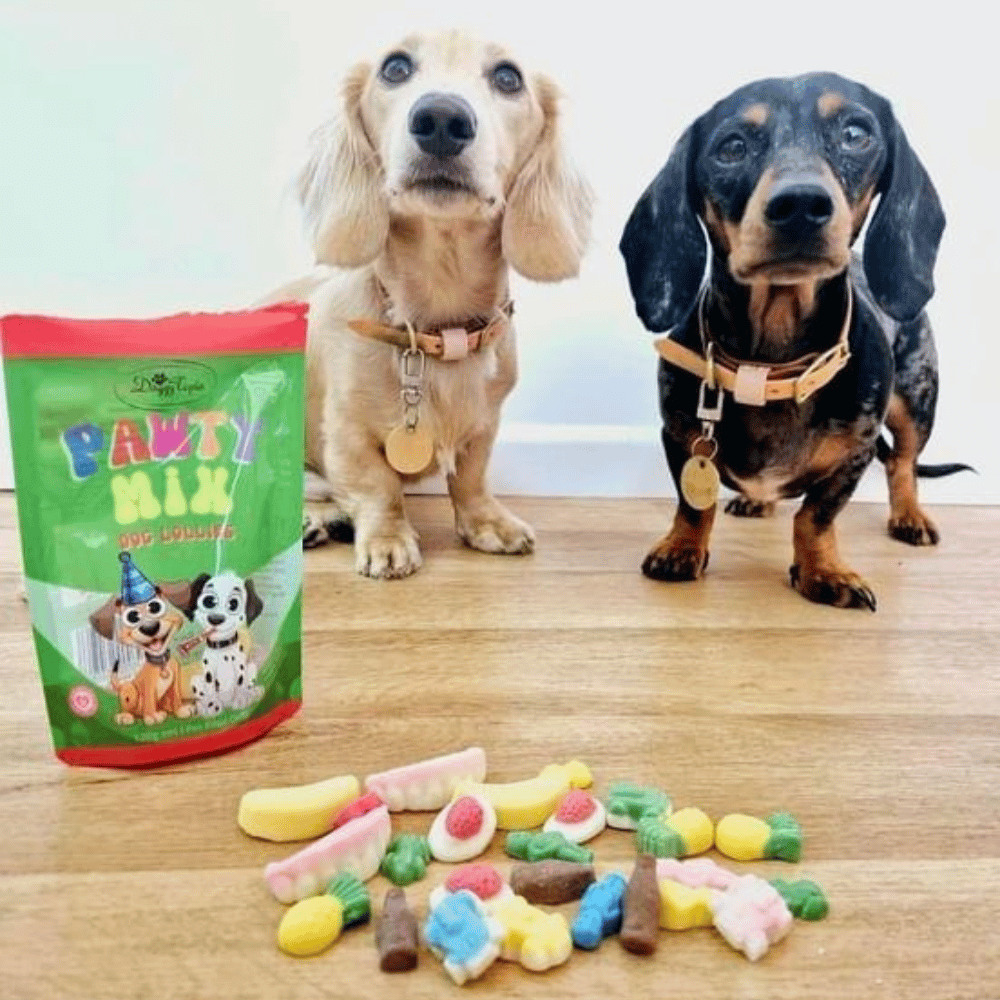 Pawty Mix Dog Lollies - Lollies from DoggyTopia at DoggyTopia