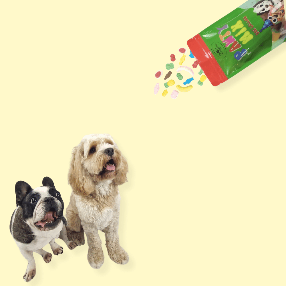 Pawty Mix Dog Lollies - Lollies from DoggyTopia at DoggyTopia