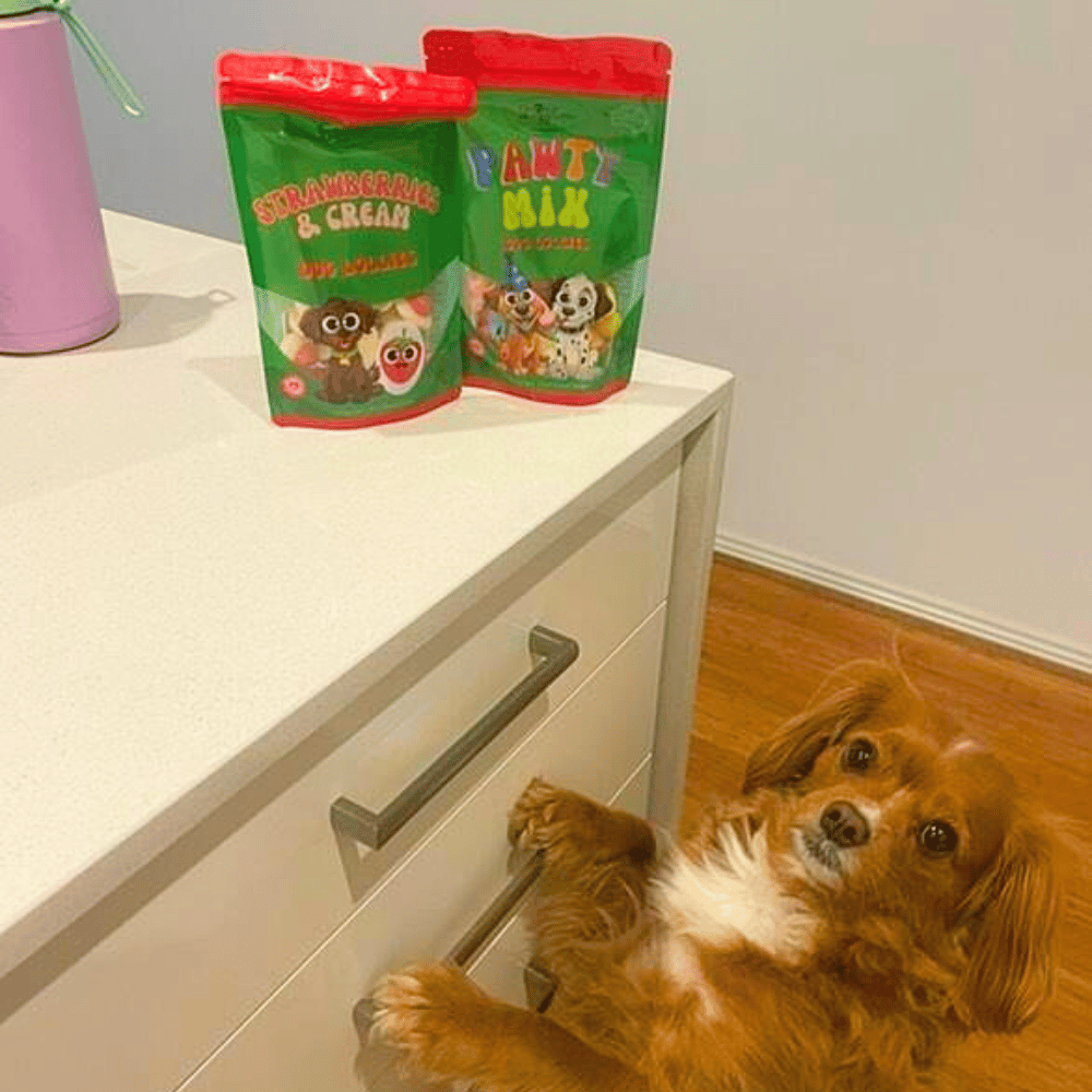Pawty Mix Dog Lollies - Lollies from DoggyTopia at DoggyTopia