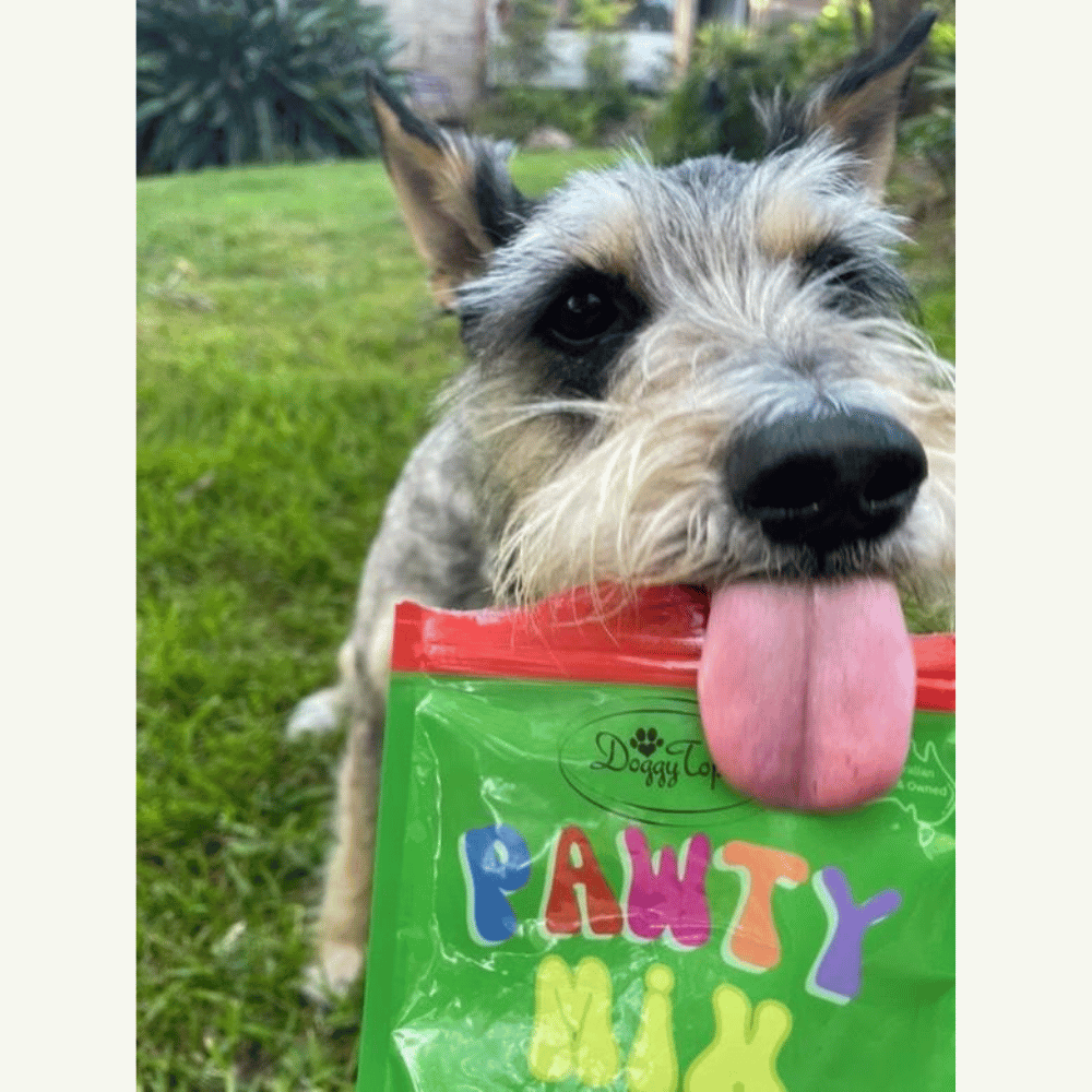 Pawty Mix Dog Lollies - Lollies from DoggyTopia at DoggyTopia