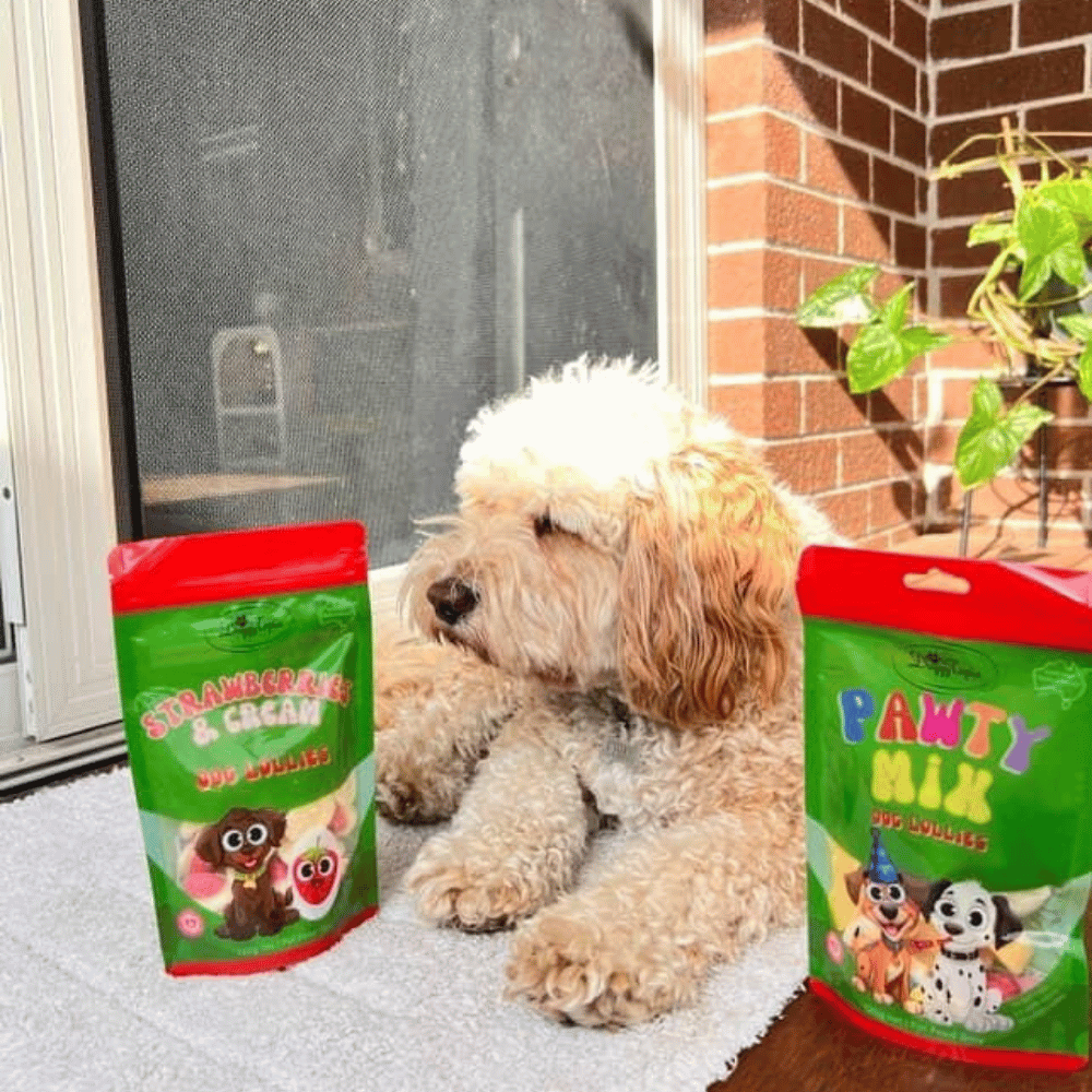 Pawty Mix Dog Lollies - Lollies from DoggyTopia at DoggyTopia