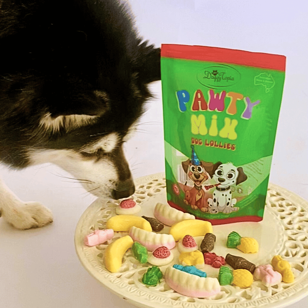 Pawty Mix Dog Lollies - Lollies from DoggyTopia at DoggyTopia