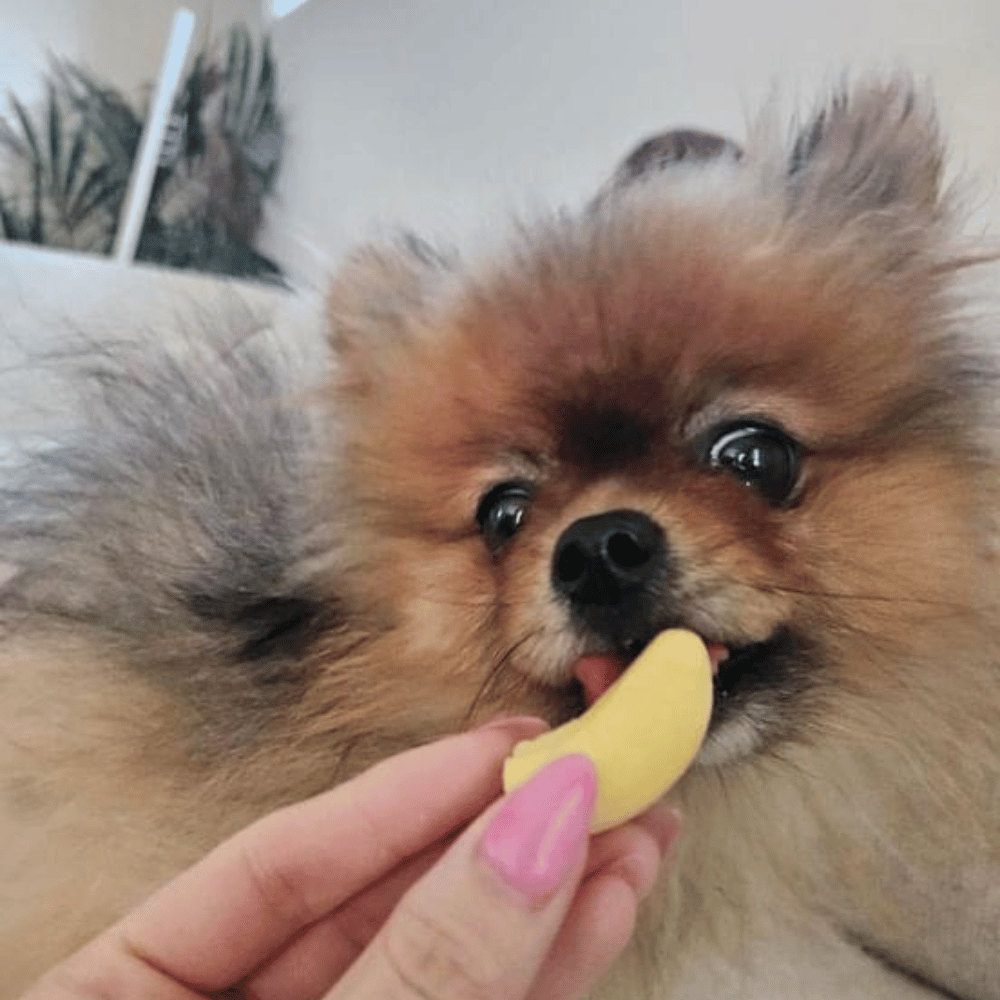 Pawty Mix Dog Lollies - Lollies from DoggyTopia at DoggyTopia