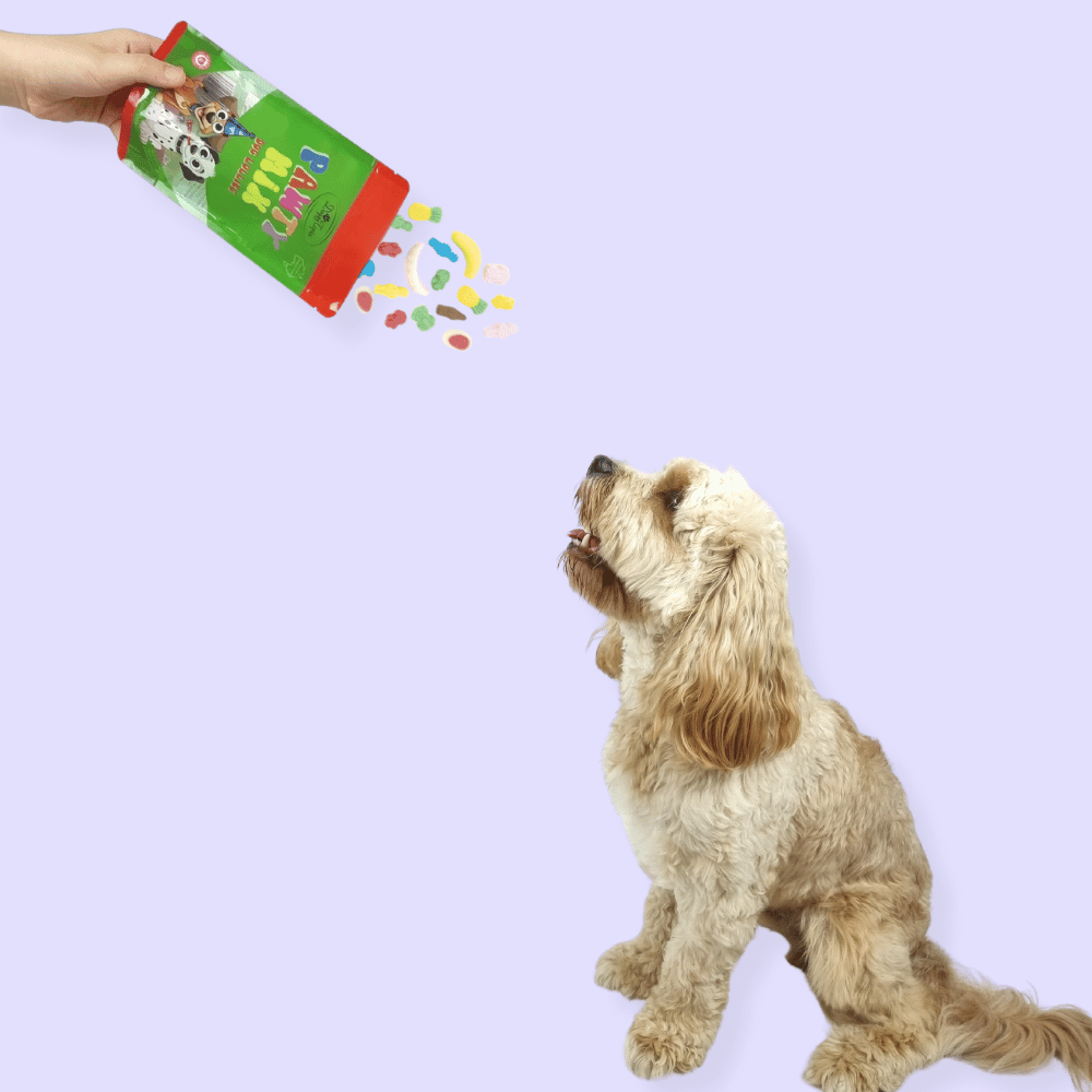 Pawty Mix Dog Lollies - Lollies from DoggyTopia at DoggyTopia