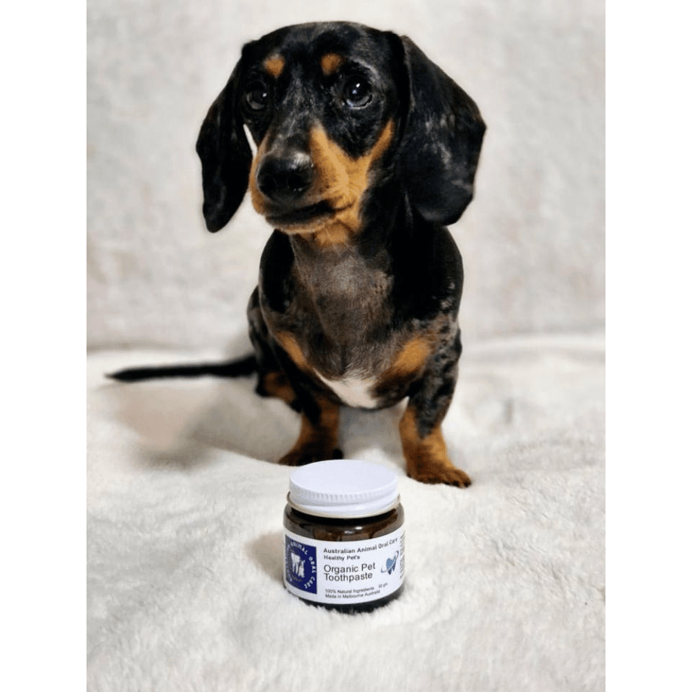 Pet Toothpaste - Oral Care from Australian Animal Oral Care at DoggyTopia