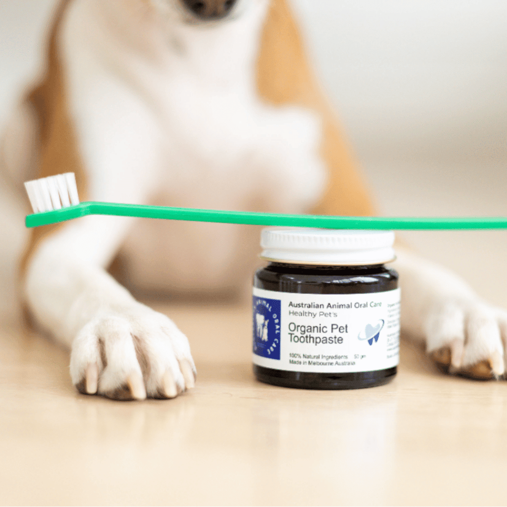 Pet Toothpaste - Oral Care from Australian Animal Oral Care at DoggyTopia