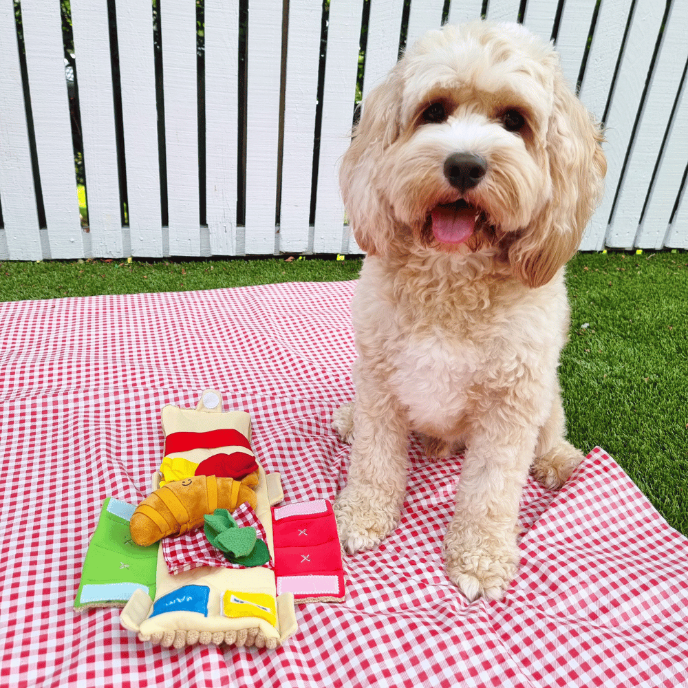 Picnic Basket Nose Work Dog Toy - Foraging Toy from . at DoggyTopia