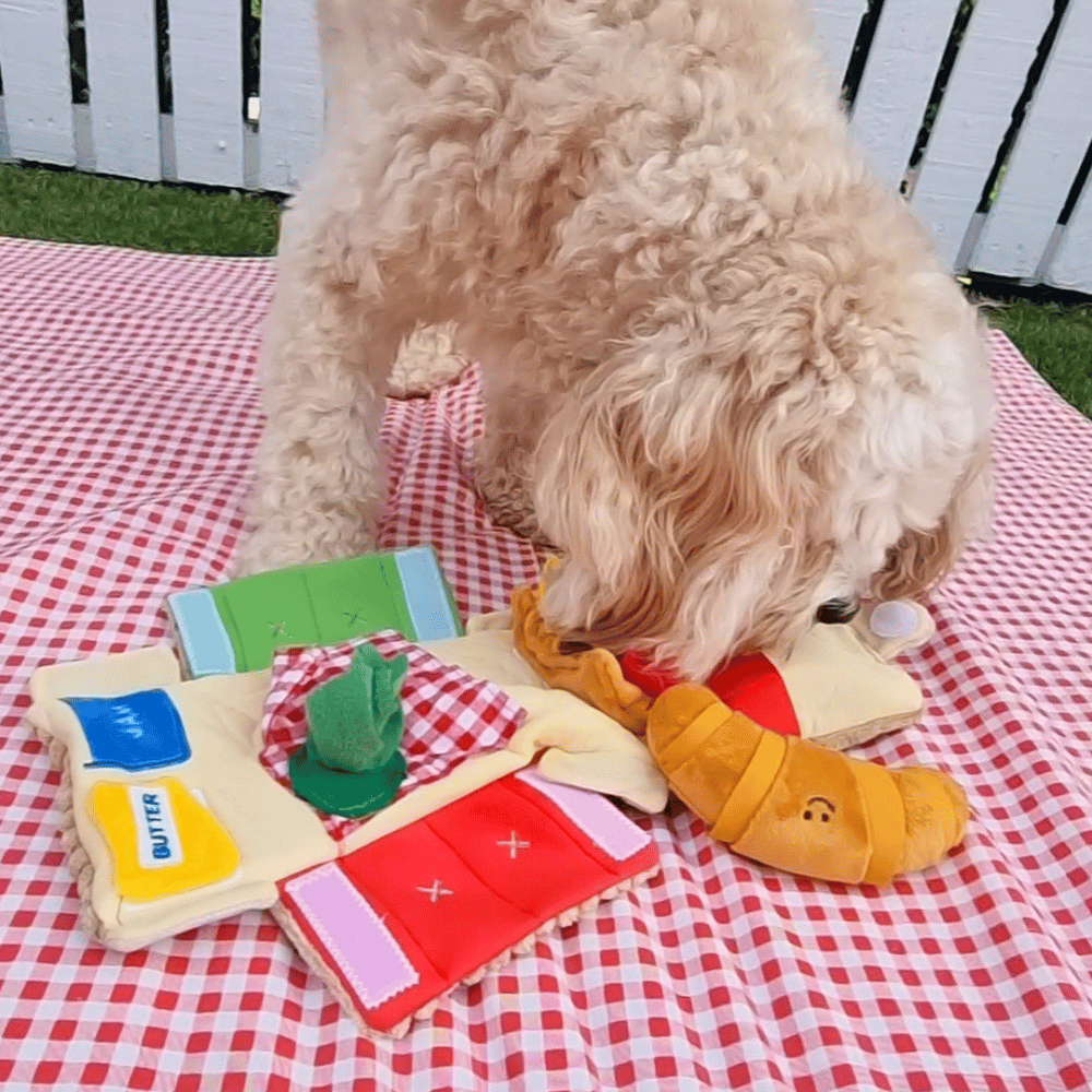 Picnic Basket Nose Work Dog Toy - Foraging Toy from . at DoggyTopia