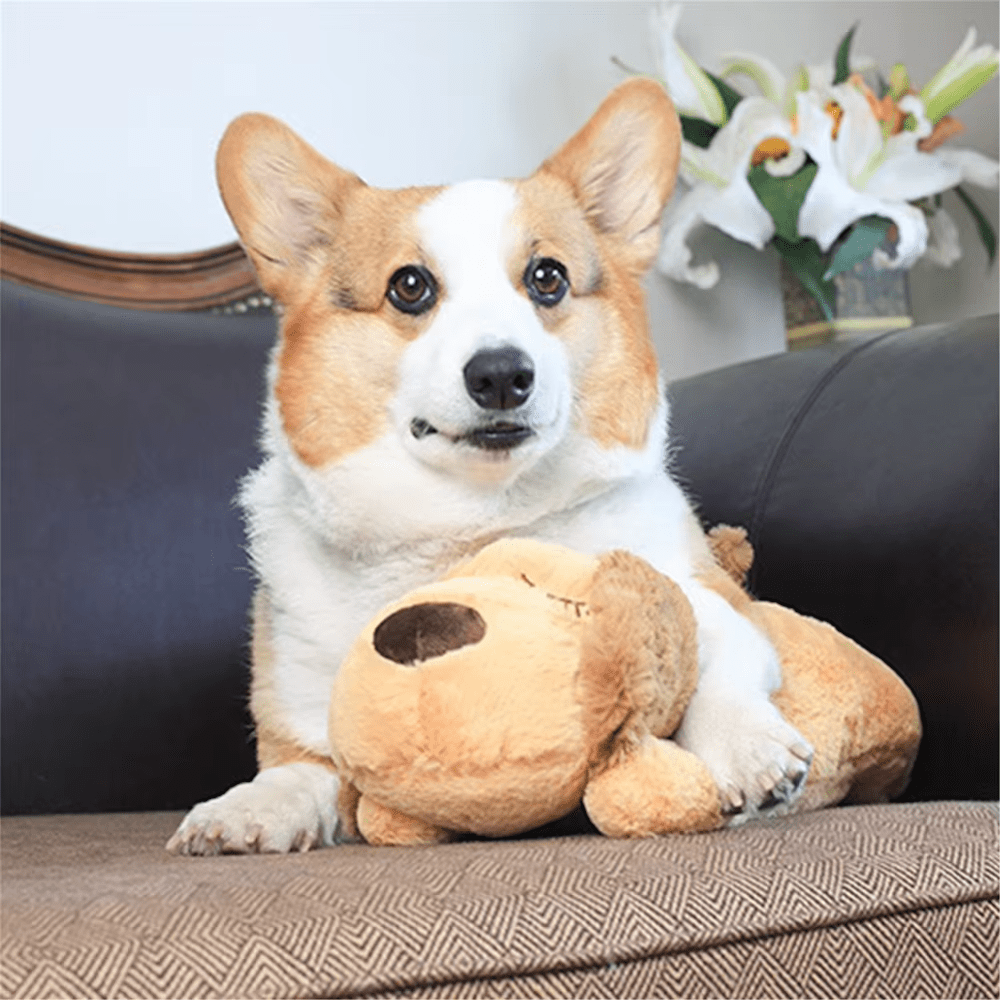 Plush Puppy Heartbeat Comforter Toy - Comforter Toy from . at DoggyTopia