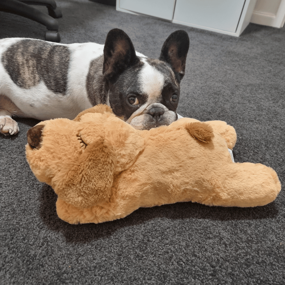 Plush Puppy Heartbeat Comforter Toy - Comforter Toy from . at DoggyTopia