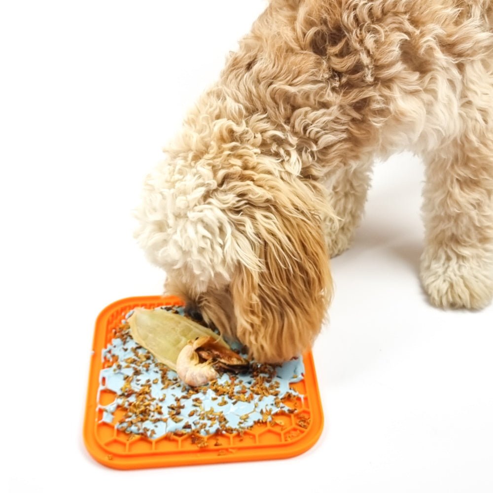 Pupkin Sprinkles Meal Topper - Meal Topper from DoggyTopia at DoggyTopia