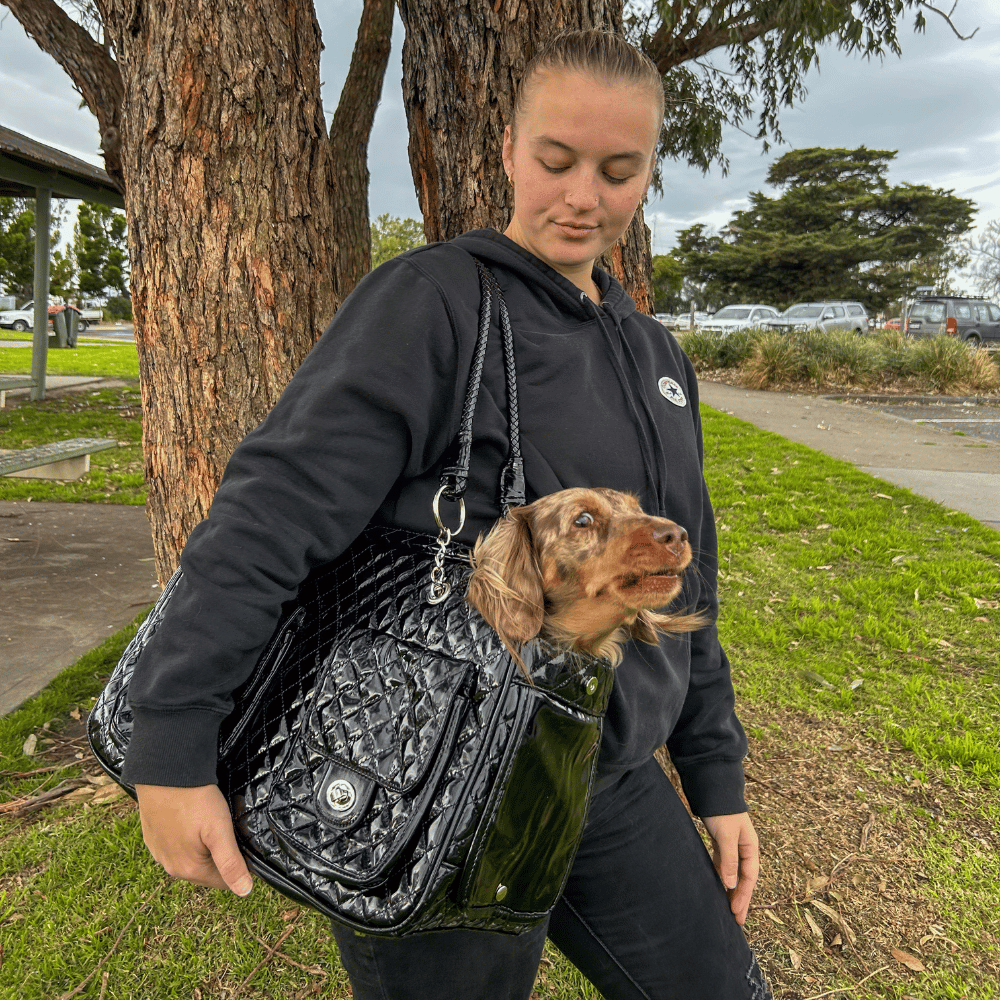 Quilted Patent Dog Carrier - Black - Dog Carriers from . at DoggyTopia