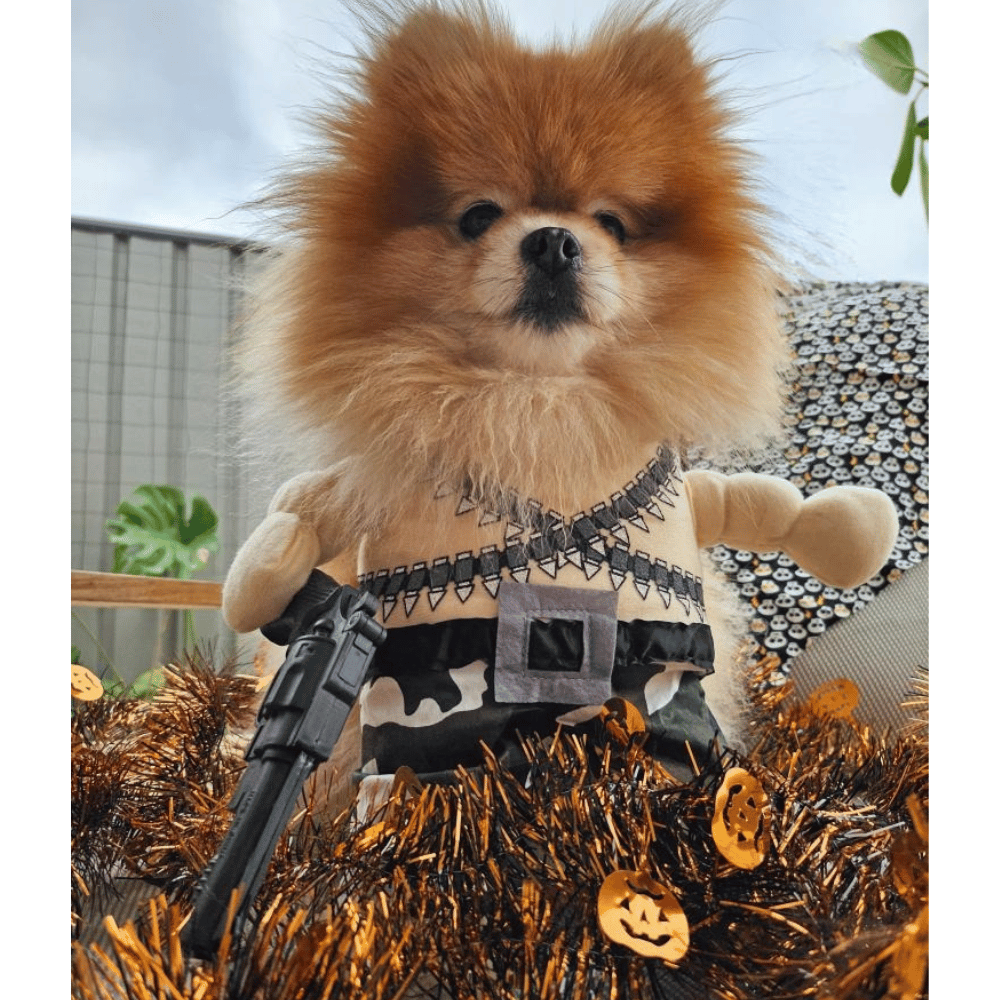 Rambo Dog Costume - Costumes from Sale at DoggyTopia