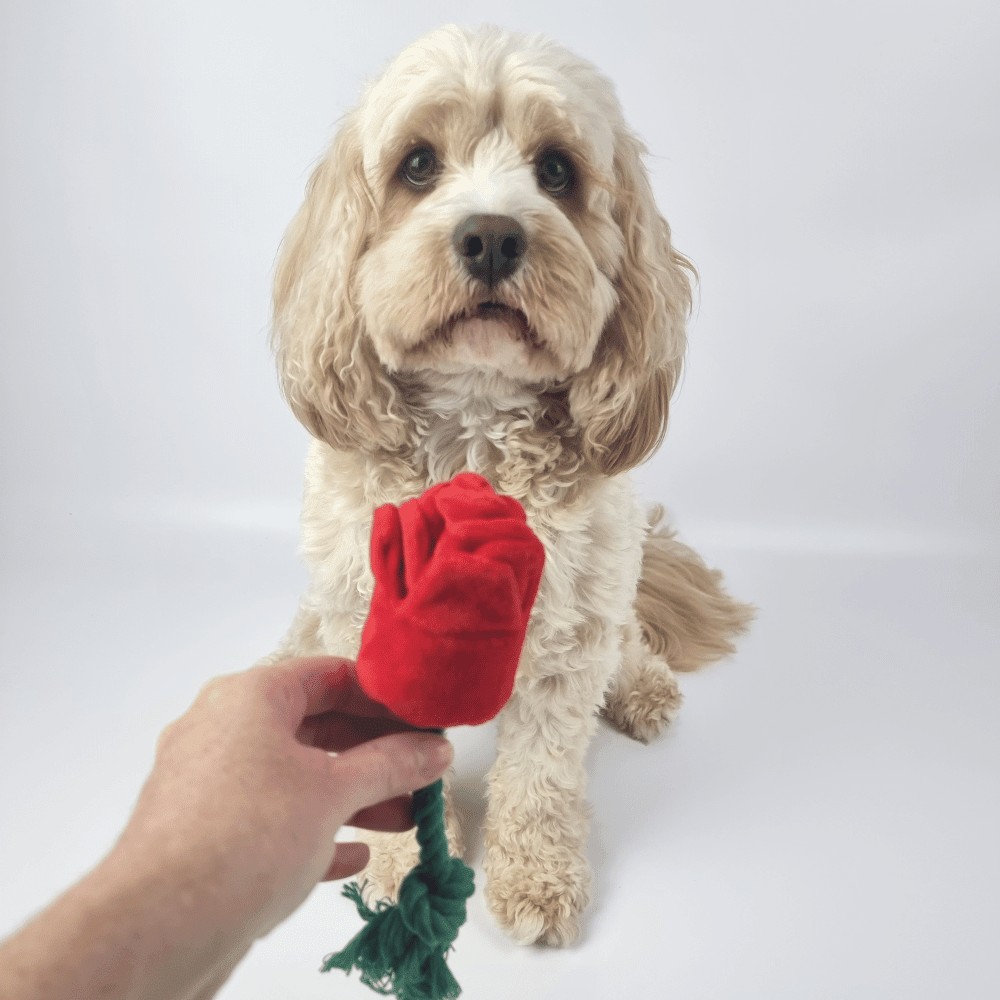 Red Rose Rope Dog Toy - Plush and Rope Toys from . at DoggyTopia
