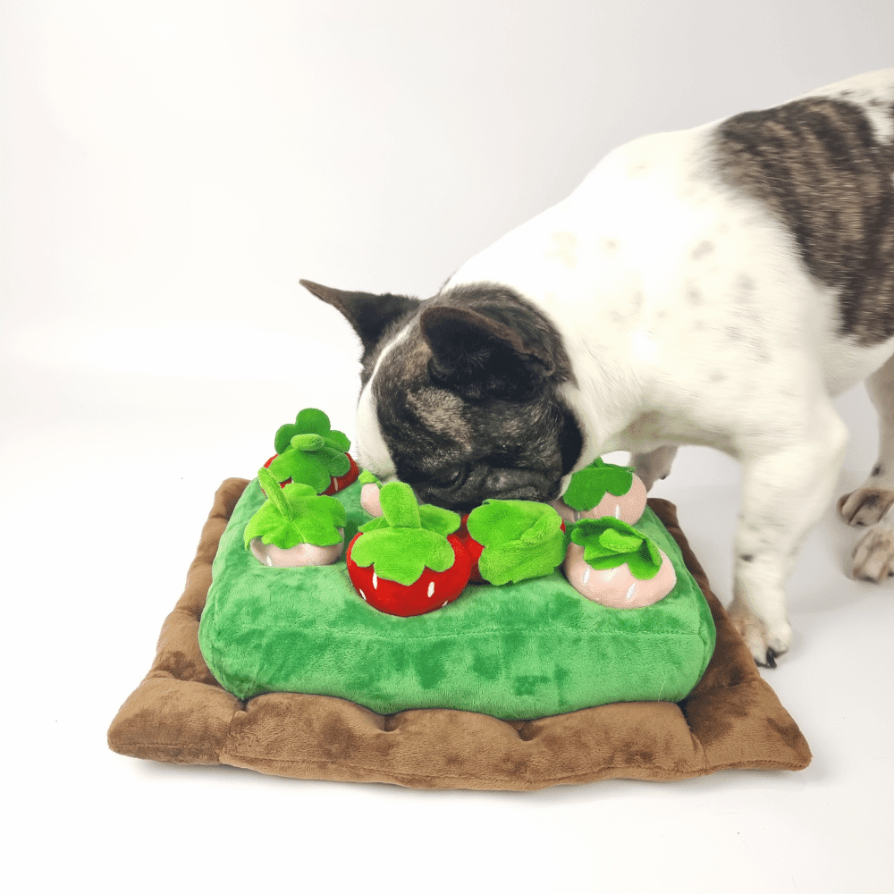 Strawberry Patch Nose Work Toy - Foraging Toy from . at DoggyTopia