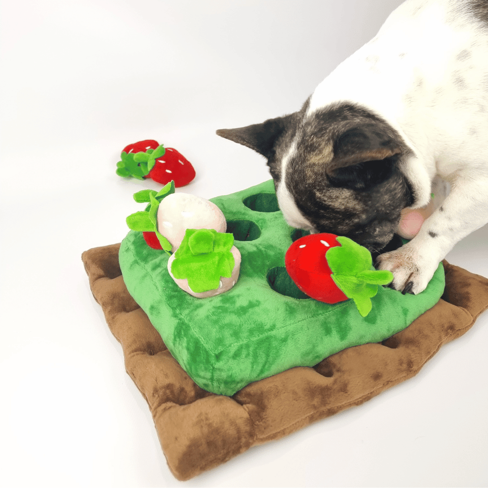 Strawberry Patch Nose Work Toy - Foraging Toy from . at DoggyTopia