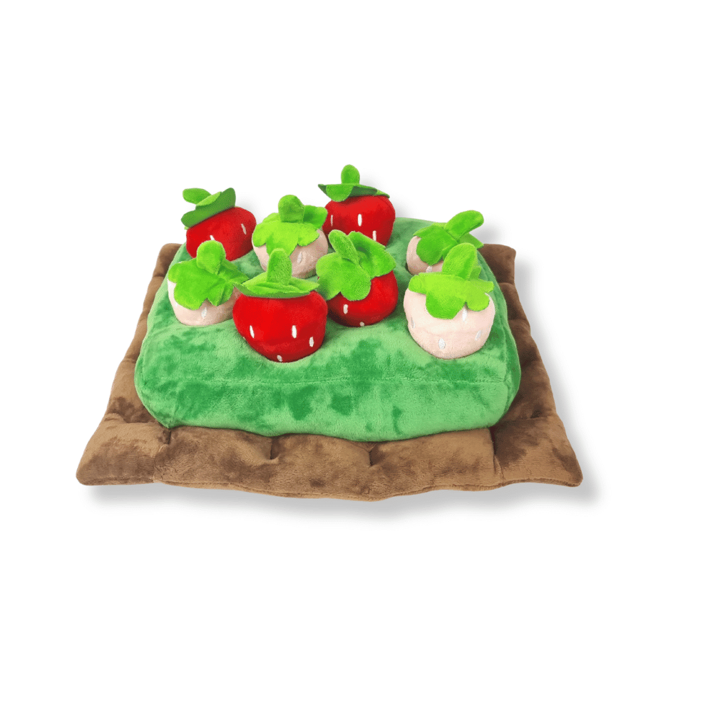 Strawberry Patch Nose Work Toy - Foraging Toy from . at DoggyTopia