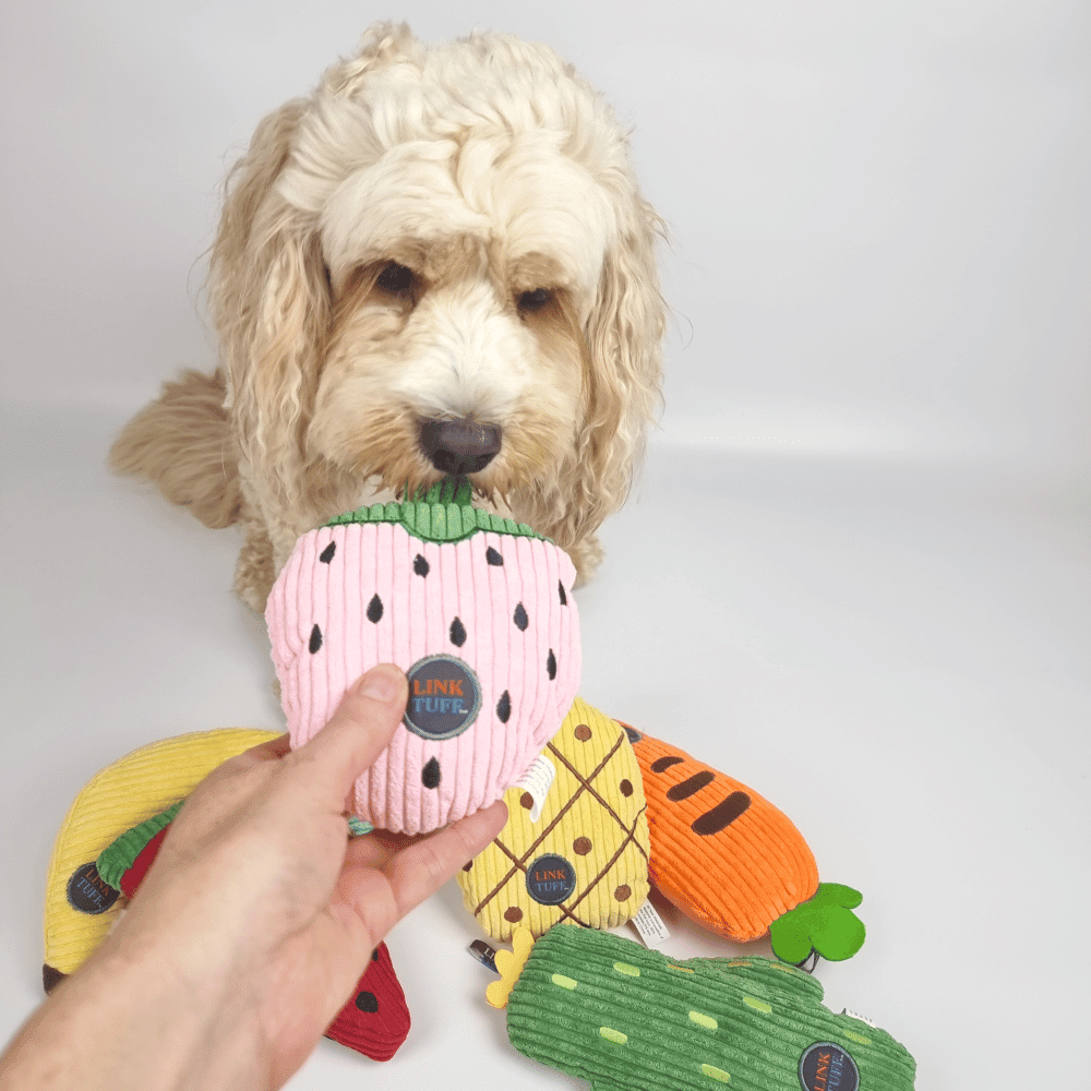 Strawberry Plush Squeaker Dog Toy - Plush Toys from . at DoggyTopia