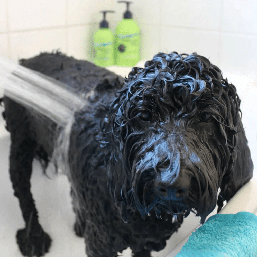 UNDERWATER DOGS Conditioner 250mL - Conditioners from Underwater Dogs at DoggyTopia