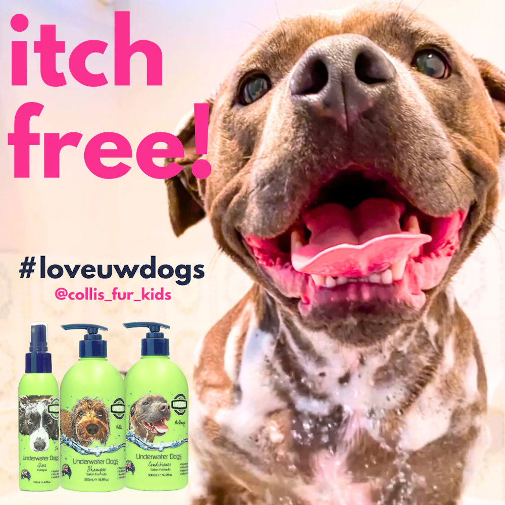 UNDERWATER DOGS Conditioner 500mL - Conditioners from Underwater Dogs at DoggyTopia