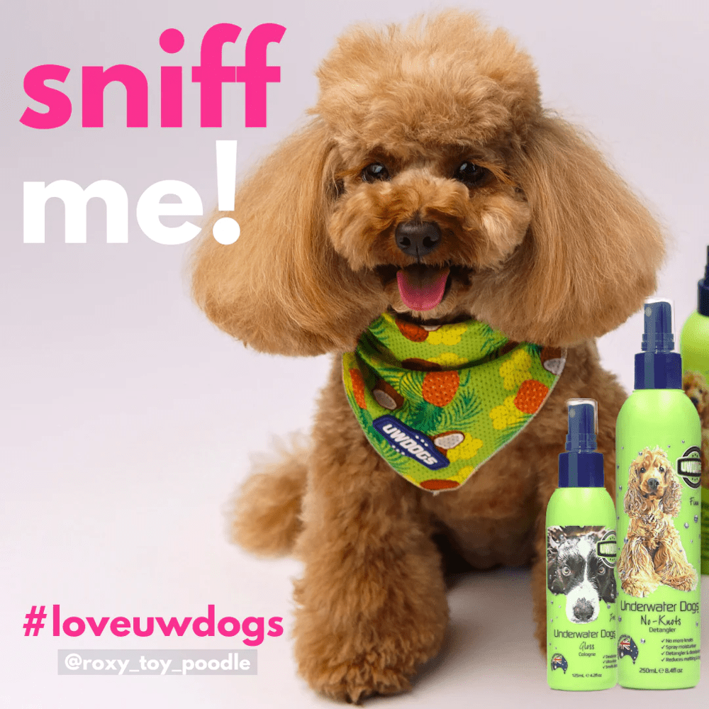UNDERWATER DOGS Gloss Deodoriser - Deodorisers & Detanglers from Underwater Dogs at DoggyTopia