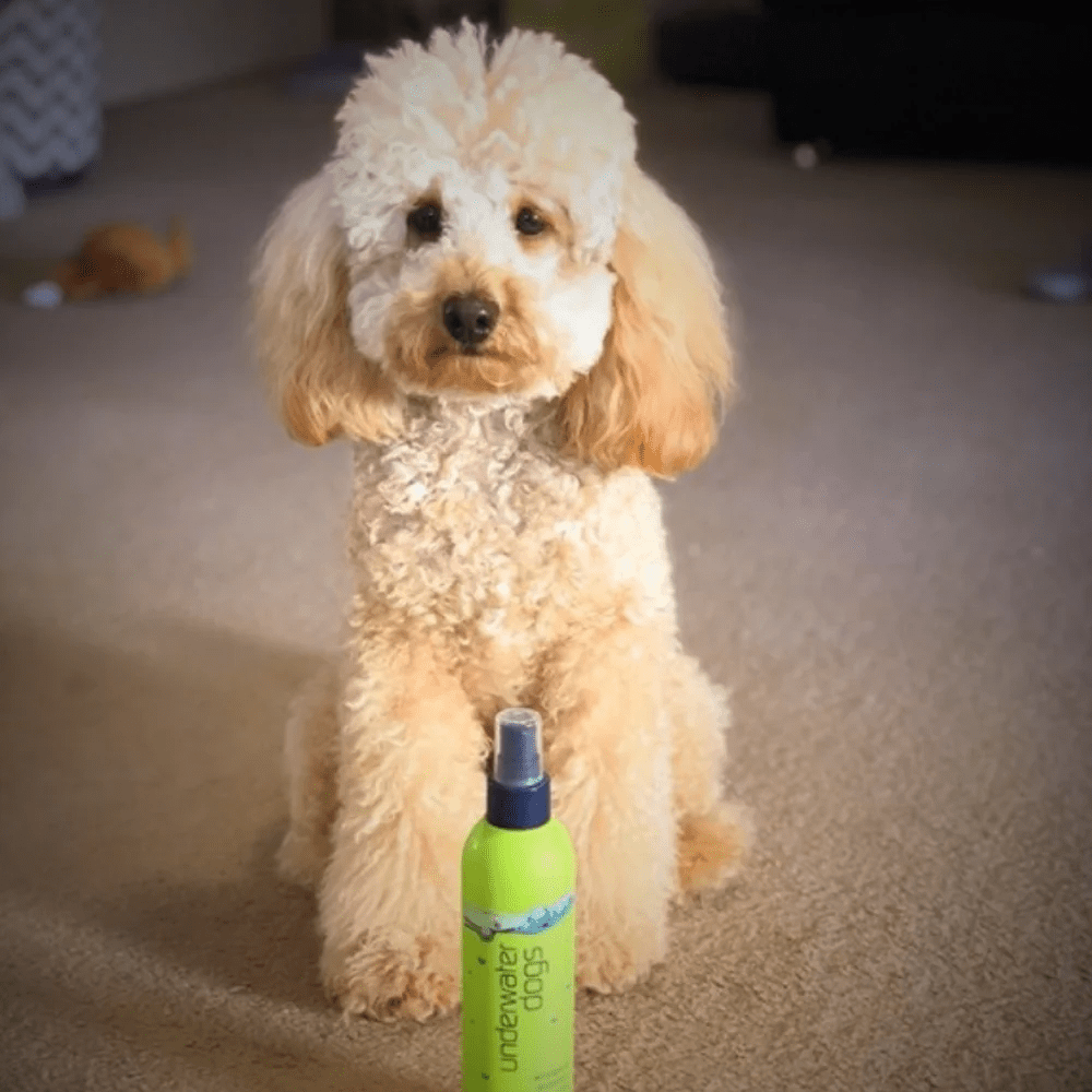 UNDERWATER DOGS No - Knots Detangler - Deodorisers & Detanglers from Underwater Dogs at DoggyTopia