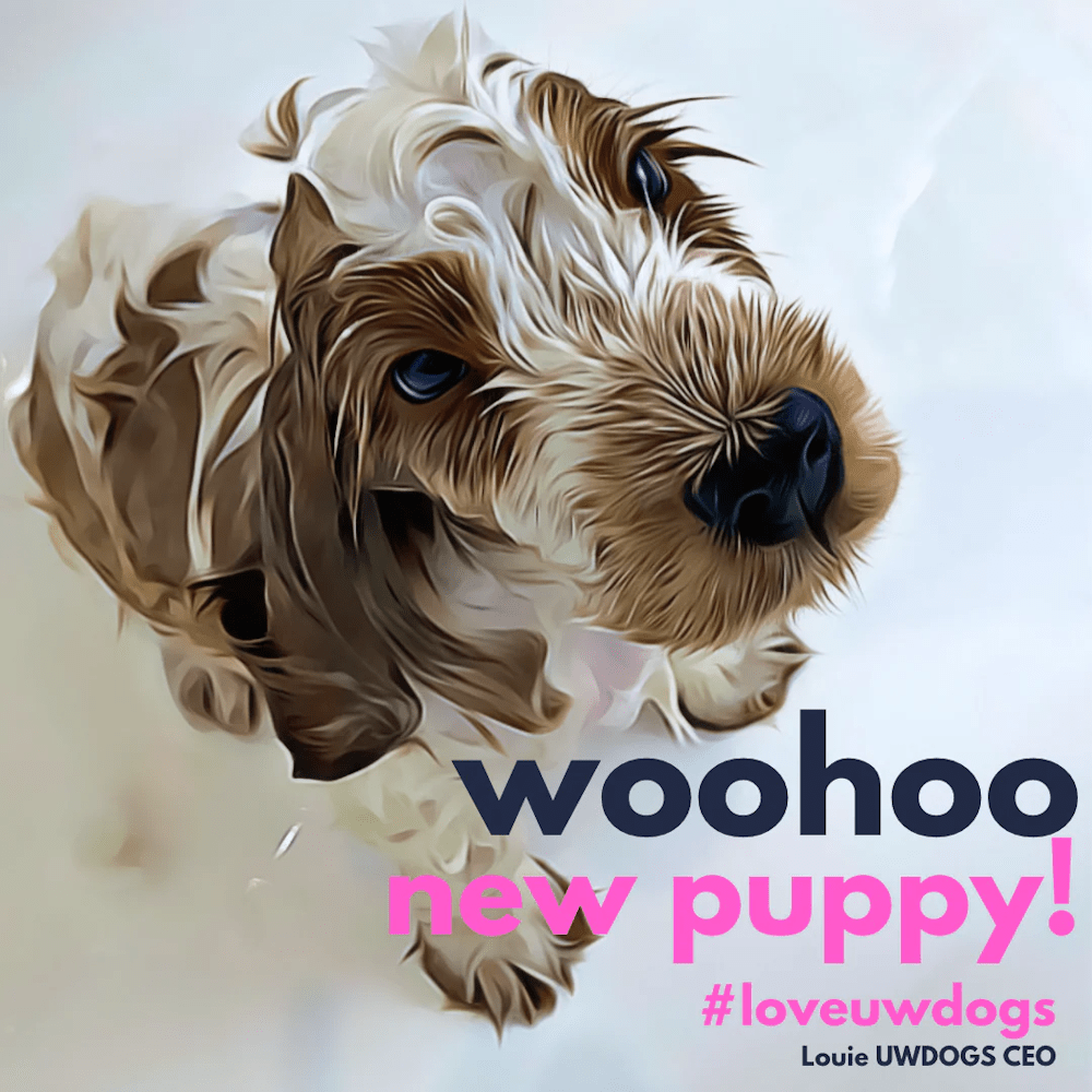 UNDERWATER DOGS – Puppy Shampoo 250mL - Shampoo's from Underwater Dogs at DoggyTopia
