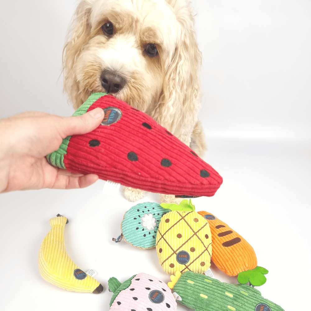 Watermelon Slice Plush Dog Toy - Plush Toys from . at DoggyTopia