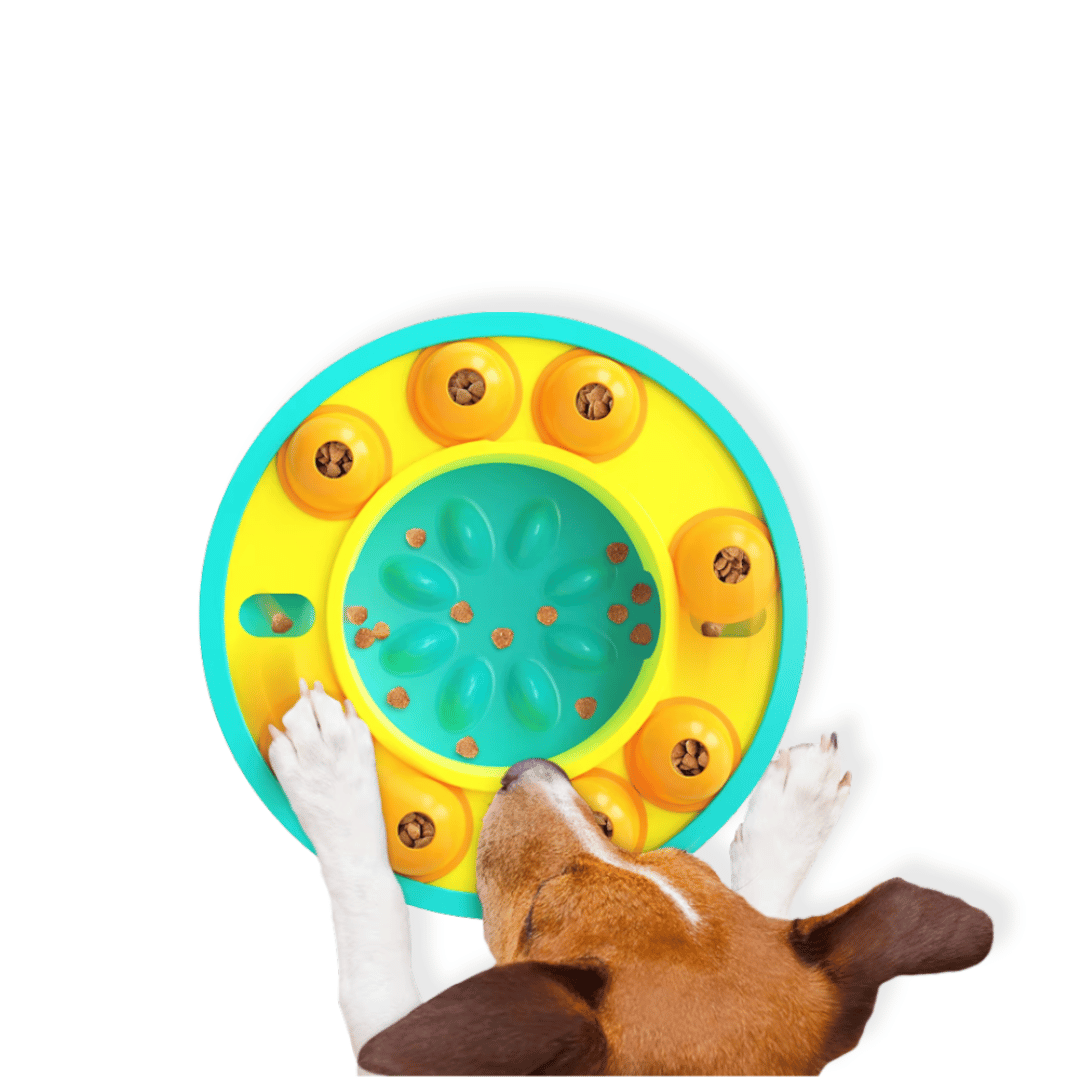 Wheel Slow Feeder Dog Puzzle - Puzzles from . at DoggyTopia