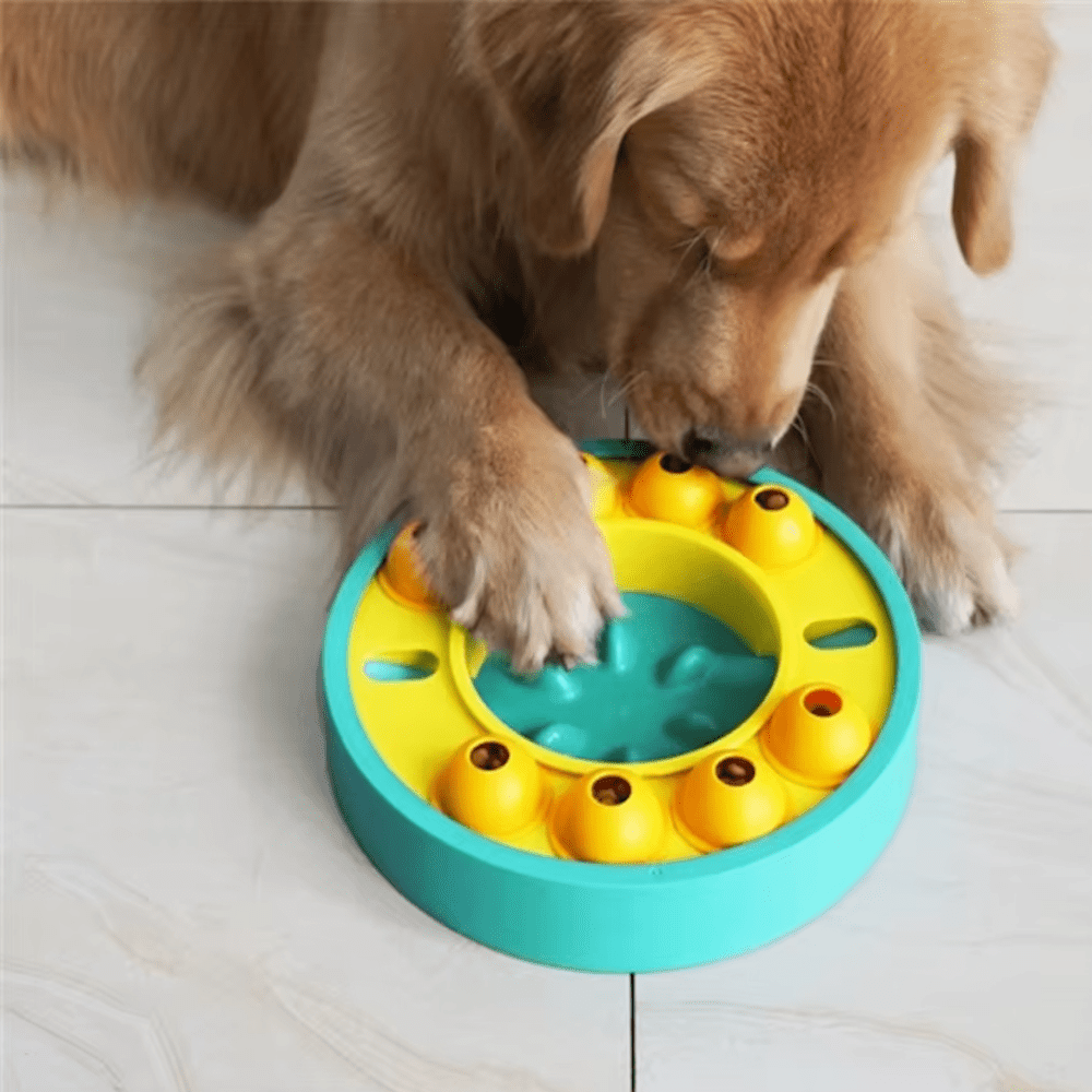 Wheel Slow Feeder Dog Puzzle - Puzzles from . at DoggyTopia
