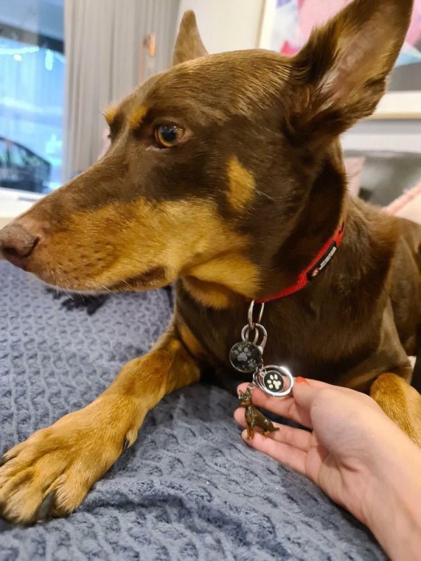 3D Kelpie Key Ring - Key Rings from Sale at DoggyTopia