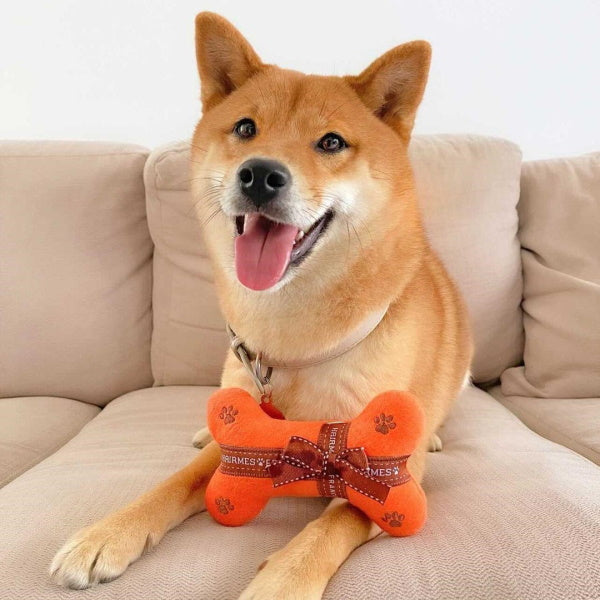 DoggyTopia