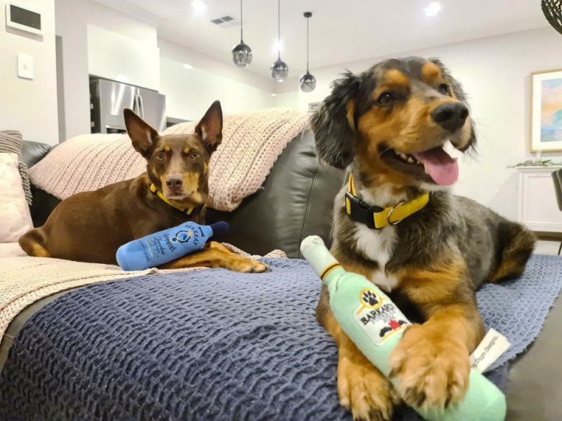 Barkardi Superior Rum Dog Toy - Designer Toys from Dog Diggin Designs at DoggyTopia