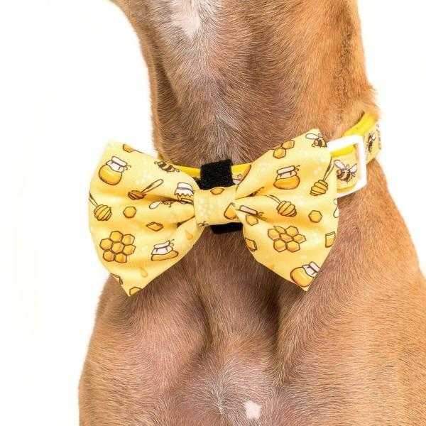 Big & Little Dogs Bee - Hiving Collar & Bow Tie - Collar & Bow Ties from Big & Little Dogs at DoggyTopia