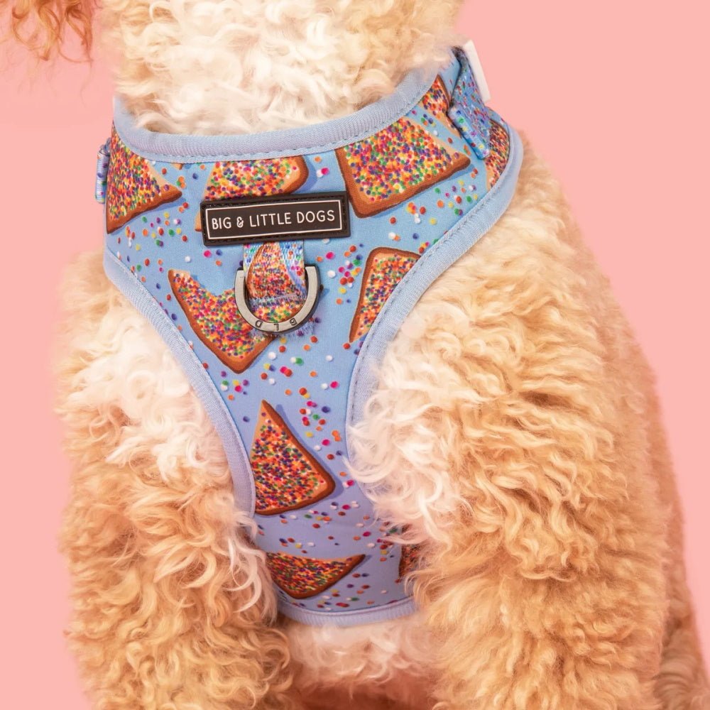 Big & Little Dogs Blue Fairy Bread Adjustable Harness - Adjustable Harnesses from Big & Little Dogs at DoggyTopia