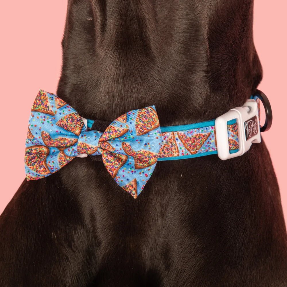 Big & Little Dogs Blue Fairy Bread Collar & Bow Tie - Collar & Bow Ties from Big & Little Dogs at DoggyTopia
