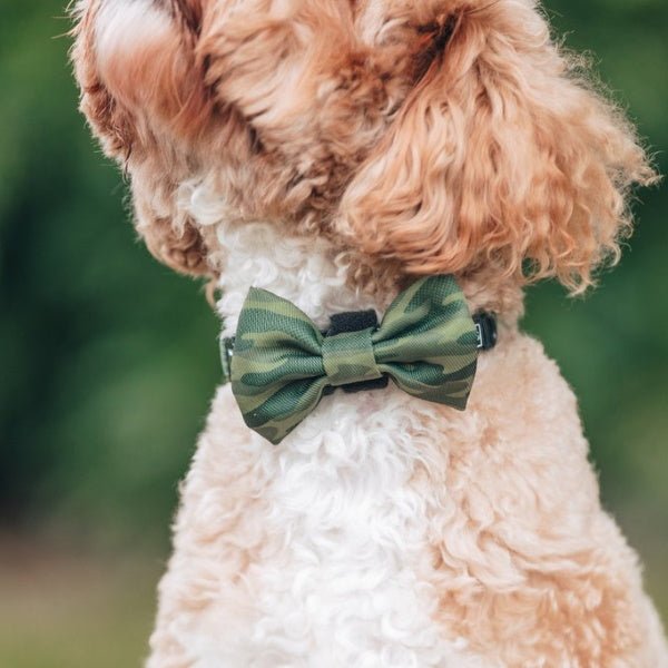 Big & Little Dogs Camouflaged Collar & Bow Tie - Collar & Bow Ties from Big & Little Dogs at DoggyTopia