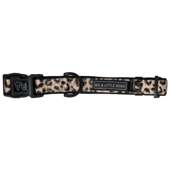 Big & Little Dogs Luxurious Leopard Collar & Bow Tie - Collar & Bow Ties from Big & Little Dogs at DoggyTopia