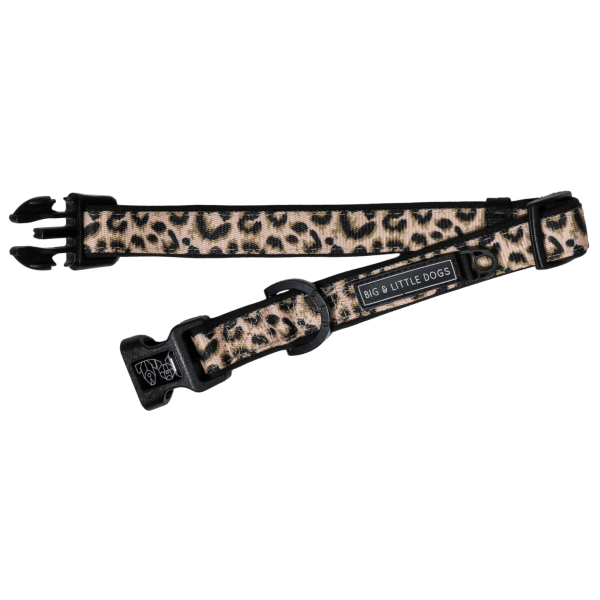 Big & Little Dogs Luxurious Leopard Collar & Bow Tie - Collar & Bow Ties from Big & Little Dogs at DoggyTopia