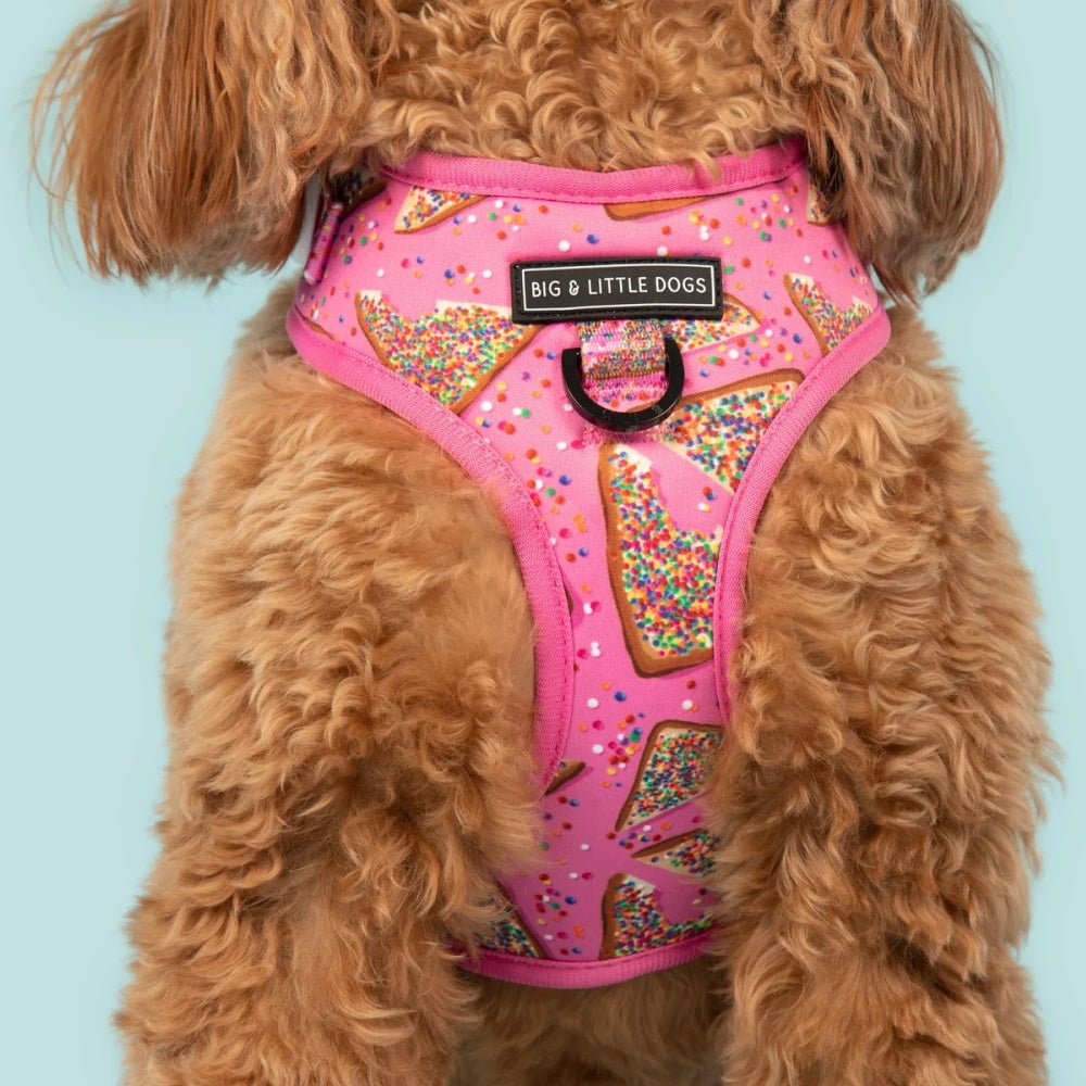 Big & Little Dogs Pink Fairy Bread Adjustable Harness - Adjustable Harnesses from Big & Little Dogs at DoggyTopia