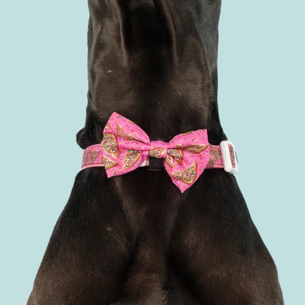 Big & Little Dogs Pink Fairy Bread Collar & Bow Tie - Collar & Bow Ties from Big & Little Dogs at DoggyTopia
