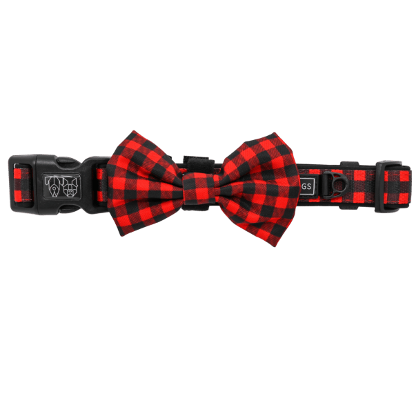 Big & Little Dogs Plaid to the Bone Collar & Bow Tie - Collar & Bow Ties from Big & Little Dogs at DoggyTopia