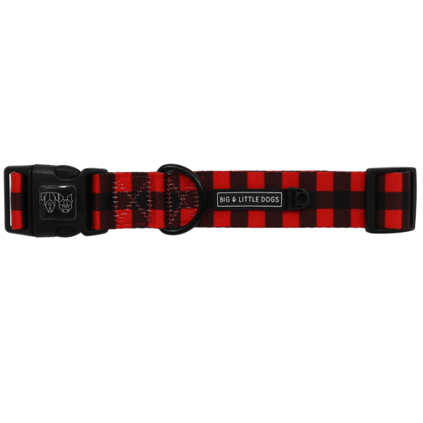 Big & Little Dogs Plaid to the Bone Collar & Bow Tie - Collar & Bow Ties from Big & Little Dogs at DoggyTopia
