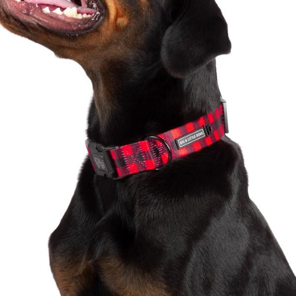 Big & Little Dogs Plaid to the Bone Collar & Bow Tie - Collar & Bow Ties from Big & Little Dogs at DoggyTopia