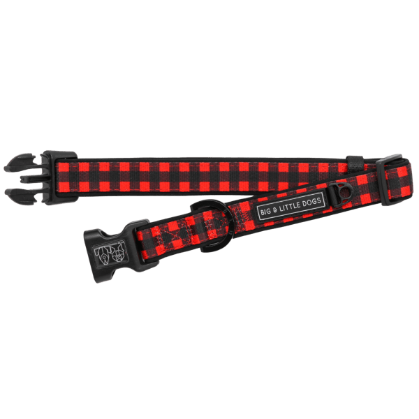 Big & Little Dogs Plaid to the Bone Collar & Bow Tie - Collar & Bow Ties from Big & Little Dogs at DoggyTopia