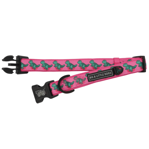 Big & Little Dogs Princess - asaurus Collar & Bow Tie - Collar & Bow Ties from Sale at DoggyTopia